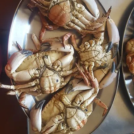 Plaza Mayor De Alaejos